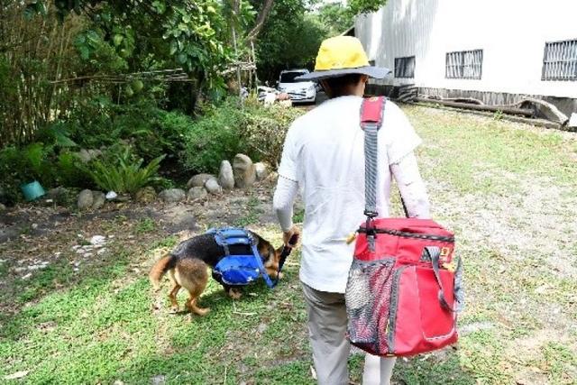 帶著狗狗去戶外,一人一狗的美好山林之旅