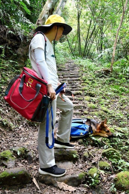帶著狗狗去戶外,一人一狗的美好山林之旅