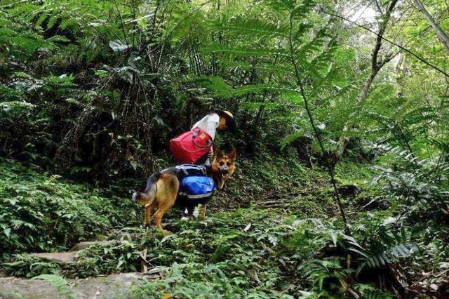 帶著狗狗去戶外,一人一狗的美好山林之旅