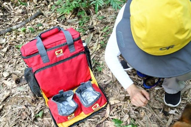 帶著狗狗去戶外,一人一狗的美好山林之旅