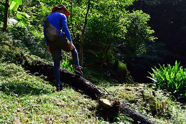 縱橫山林鞋帶不怕再脫落,斐樂(lè)(FILA)DIAL GTX專業(yè)越野慢跑鞋