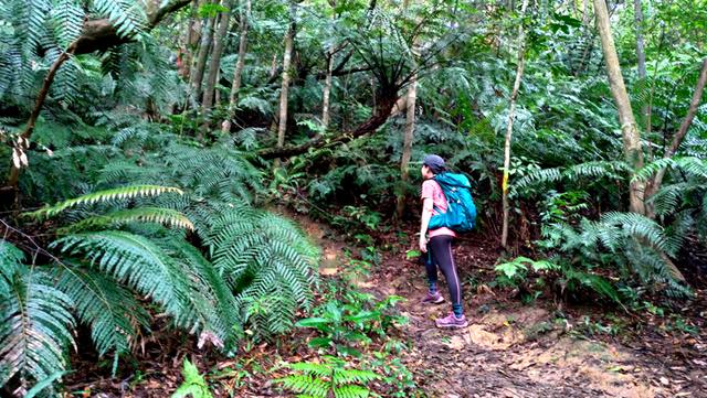 格里高利Gregory背包實測,日常通勤和戶外登山的好伴侶