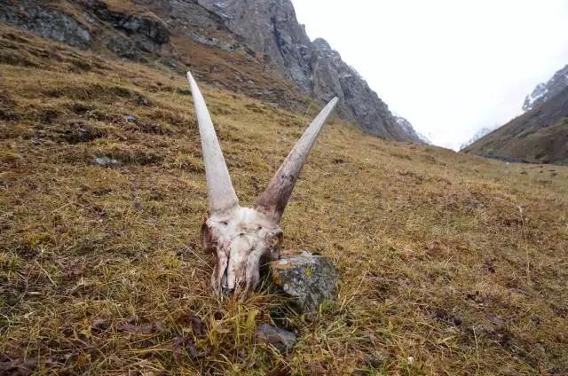 國內(nèi)這些經(jīng)典徒步線路,喜歡戶外的你走過幾條？