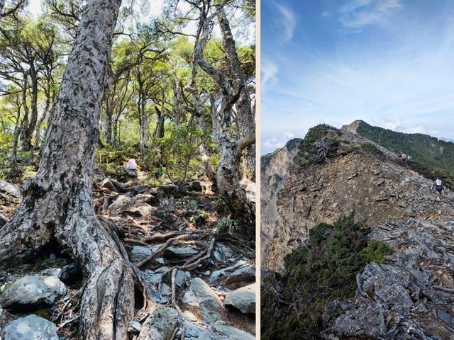 羊毛適合夏天穿?美國戶外品牌SmartWool羊毛衣襪實測體驗