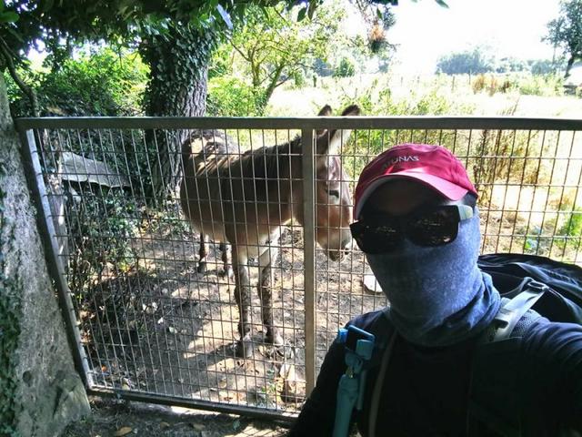 西班牙朝圣之路,法國之路行前戶外裝備指南