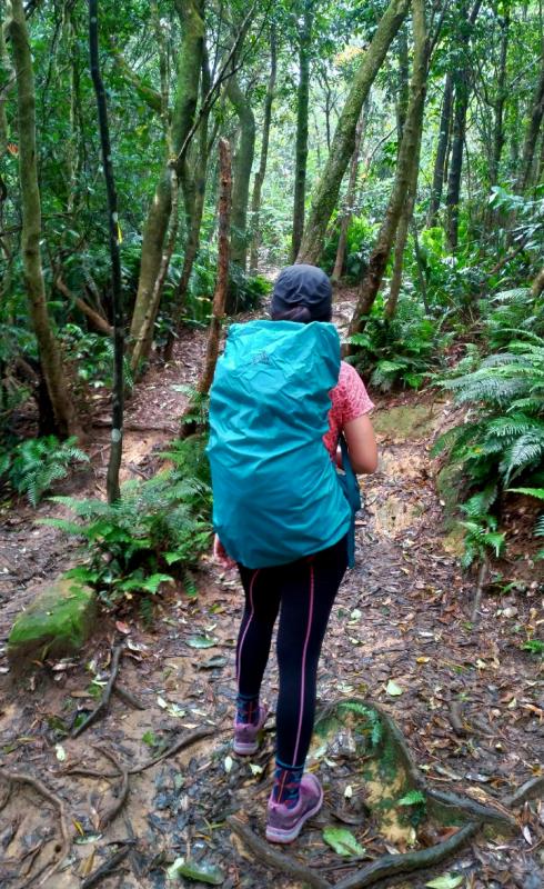 格里高利Gregory背包實測,日常通勤和戶外登山的好伴侶