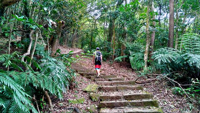 美國運動護具品牌LP護膝評測,想爬一輩子的山就得對膝蓋好一點