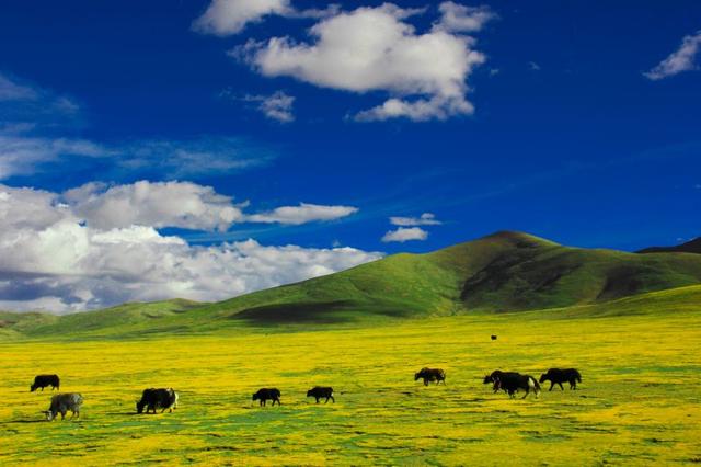 第一次去西藏旅游,西藏自助攻略看這個