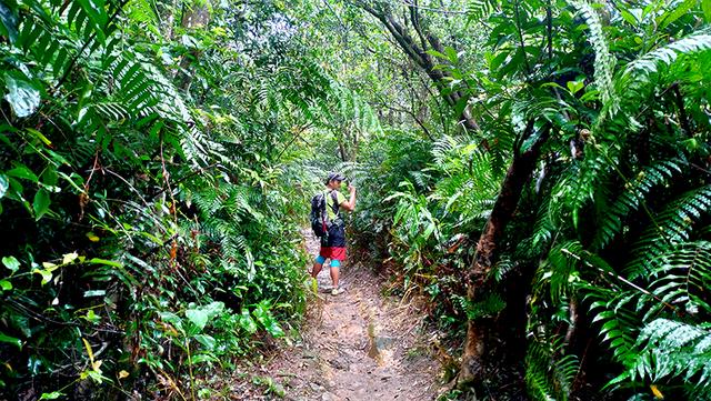 美國運動護具品牌LP護膝評測,想爬一輩子的山就得對膝蓋好一點