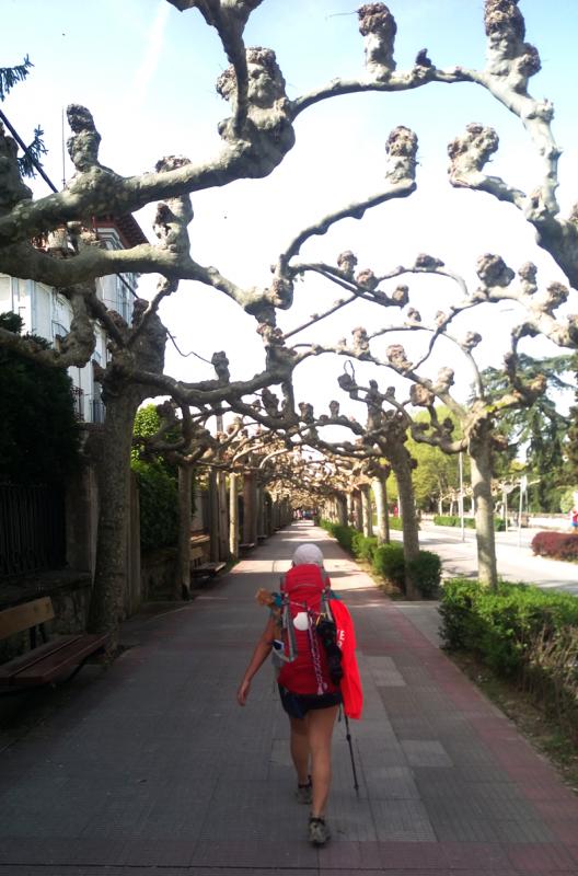 歐洲徒步之西班牙朝圣之路,分享一些事前準(zhǔn)備和要帶的戶外裝備