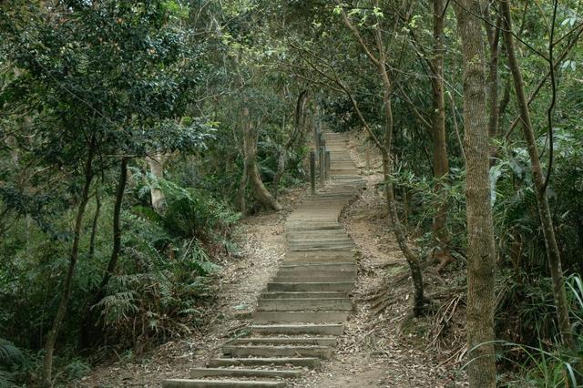 低幫戶外鞋好用嗎?La Sportiva越野跑鞋實測