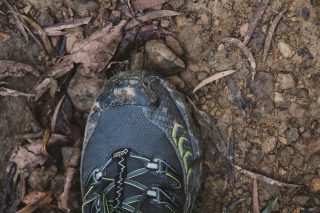 低幫戶外鞋好用嗎?La Sportiva越野跑鞋實測