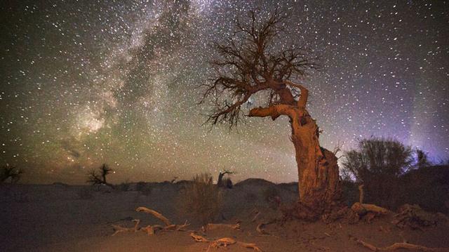 西安到拉薩旅游指南, 一票難求熱門線路