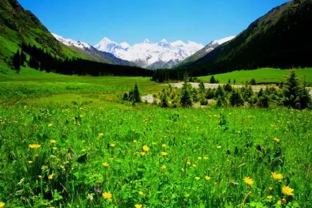 國內(nèi)這些經(jīng)典徒步線路,喜歡戶外的你走過幾條？