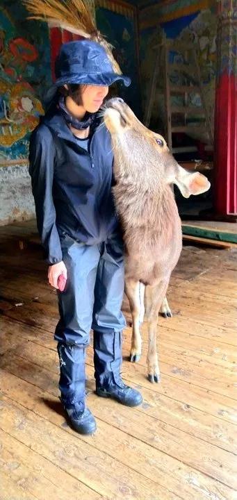 四川格聶轉(zhuǎn)山行C線游記攻略,20萬步的徒步體驗