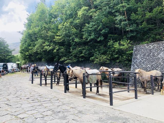 日本自由行,富士山登山攻略吉田路線兩天一夜詳細游記