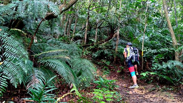 美國運動護具品牌LP護膝評測,想爬一輩子的山就得對膝蓋好一點