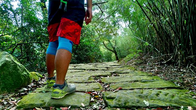 美國運動護具品牌LP護膝評測,想爬一輩子的山就得對膝蓋好一點