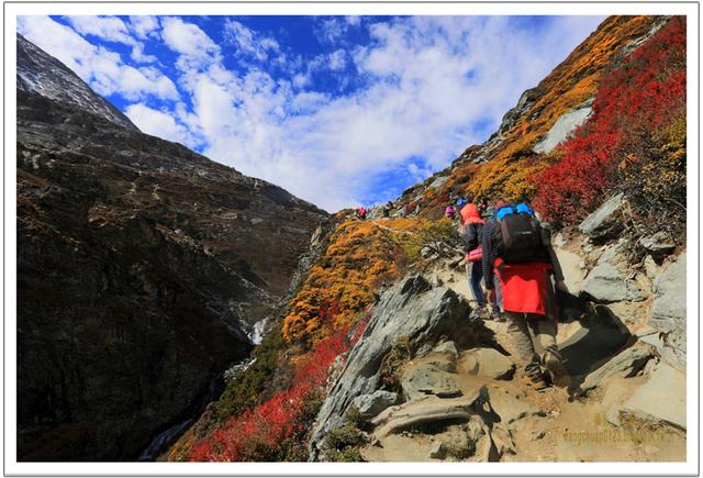 稻城亞丁牛奶海徒步攻略,探訪在海拔4500米的圣湖