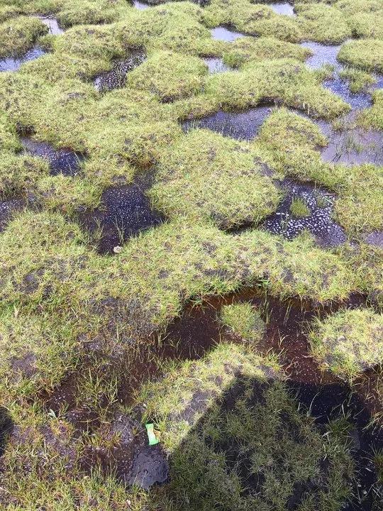 四川格聶轉(zhuǎn)山行C線游記攻略,20萬步的徒步體驗