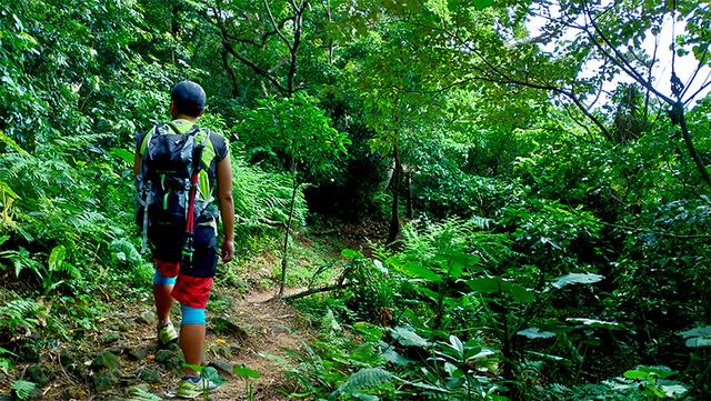 美國運動護具品牌LP護膝評測,想爬一輩子的山就得對膝蓋好一點