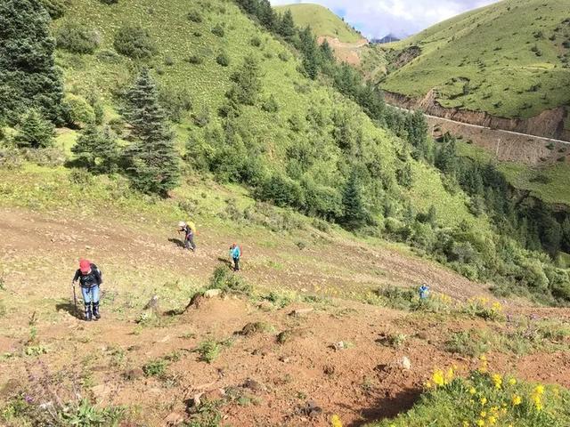 四川格聶轉(zhuǎn)山行C線游記攻略,20萬步的徒步體驗