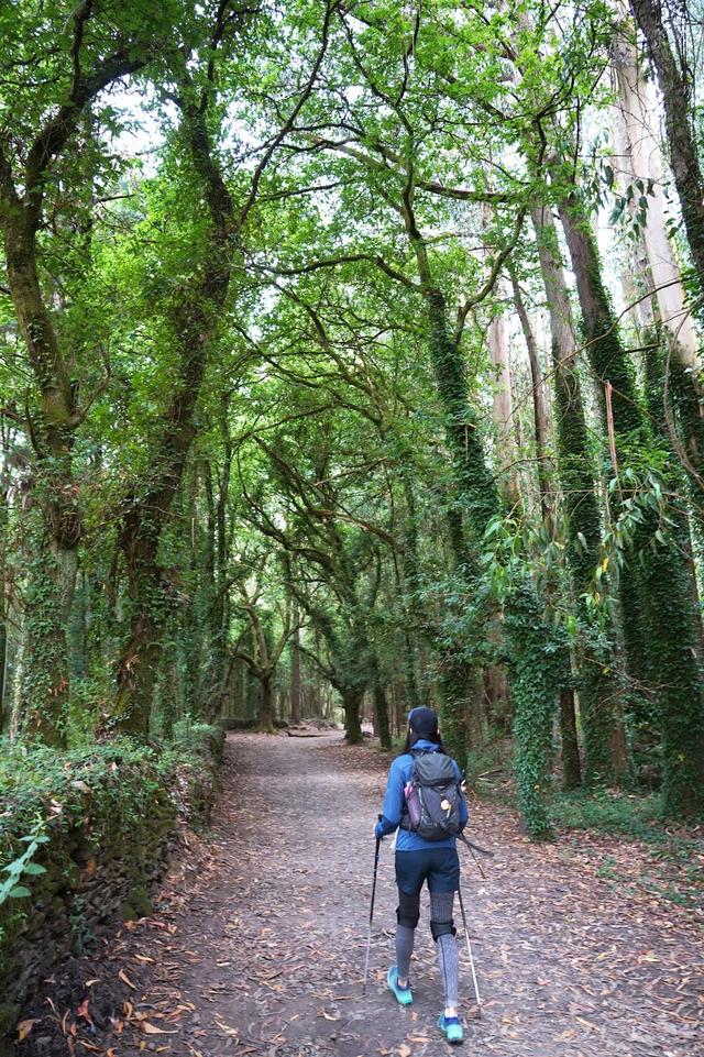 穿梭都市與戶外,英國戶外品牌Lowe Alpine多功能輕量背包實測