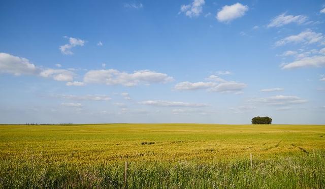葡萄牙自駕游應(yīng)注意的22件事,也適用大部分歐洲國家自駕旅行