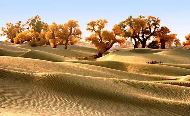 國內(nèi)這些經(jīng)典徒步線路,喜歡戶外的你走過幾條？