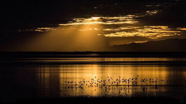 重慶到拉薩旅游指南,麻辣火鍋與世界屋脊