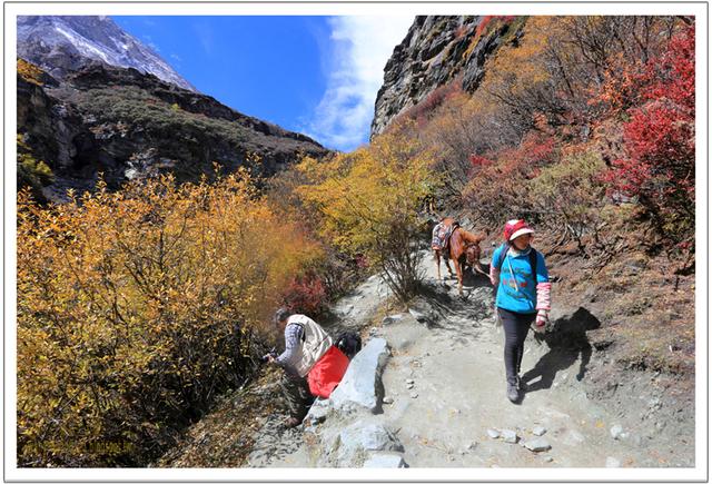 稻城亞丁牛奶海徒步攻略,探訪在海拔4500米的圣湖