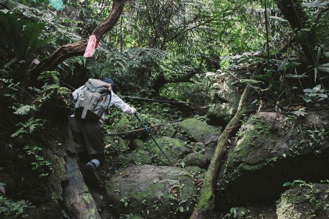 低幫戶外鞋好用嗎?La Sportiva越野跑鞋實測