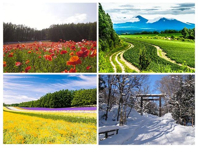 日本北海道去哪玩,北海道自助旅行旅游攻略