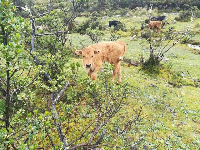 南美洲旅游攻略,推薦我去過的十大旅游景點