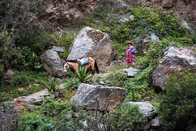 秘魯印加文明朝圣之路,走過四日三夜經典印加古道到馬丘比丘