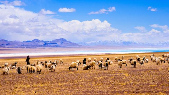大家去西藏阿里,我們頭一次去西藏旅游怎么玩？