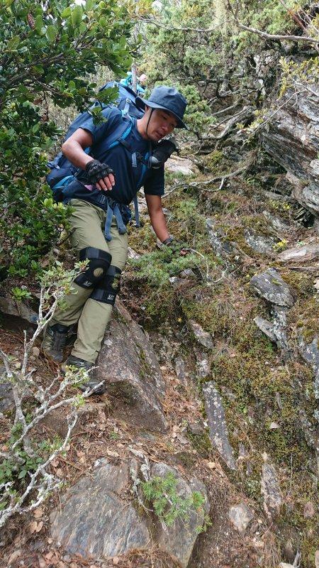 且行且珍惜,美國運動護具品牌LP護膝評測