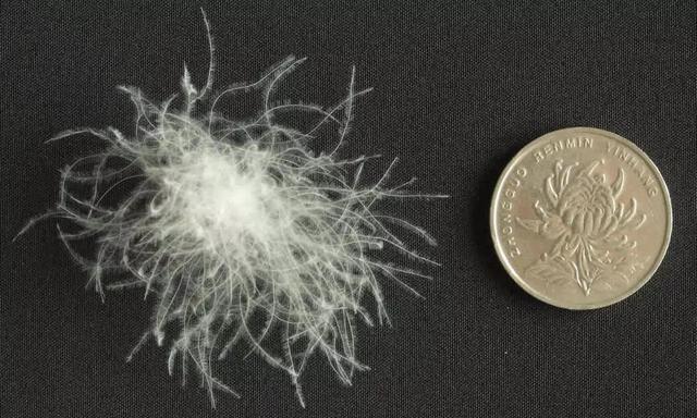 羽絨睡袋怎么選？詳盡睡袋選購指南,你值得一看!