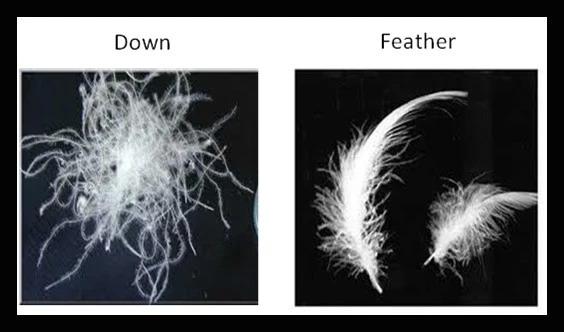 羽絨睡袋怎么選？詳盡睡袋選購指南,你值得一看!