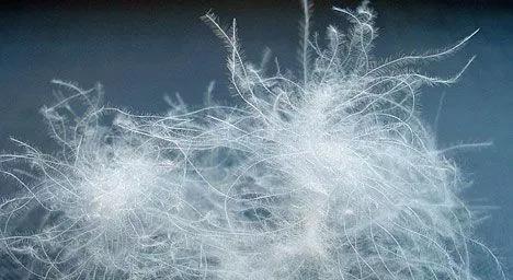 羽絨睡袋怎么選？詳盡睡袋選購指南,你值得一看!