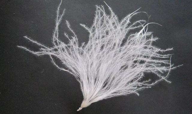 羽絨睡袋怎么選？詳盡睡袋選購指南,你值得一看!