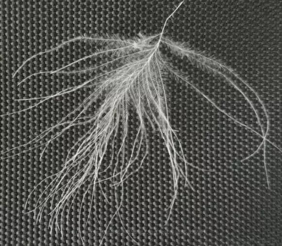 羽絨睡袋怎么選？詳盡睡袋選購指南,你值得一看!