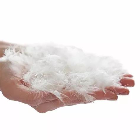 羽絨睡袋怎么選？詳盡睡袋選購指南,你值得一看!