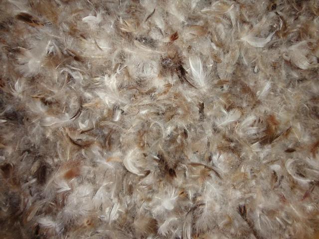 羽絨睡袋怎么選？詳盡睡袋選購指南,你值得一看!