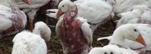 羽絨睡袋怎么選？詳盡睡袋選購指南,你值得一看!