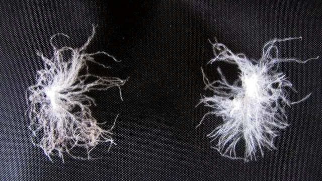 羽絨睡袋怎么選？詳盡睡袋選購指南,你值得一看!