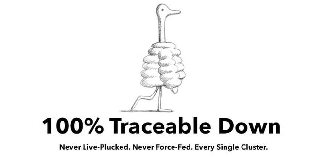 羽絨睡袋怎么選？詳盡睡袋選購指南,你值得一看!