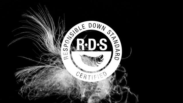 羽絨睡袋怎么選？詳盡睡袋選購指南,你值得一看!