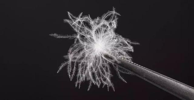 羽絨睡袋怎么選？詳盡睡袋選購指南,你值得一看!