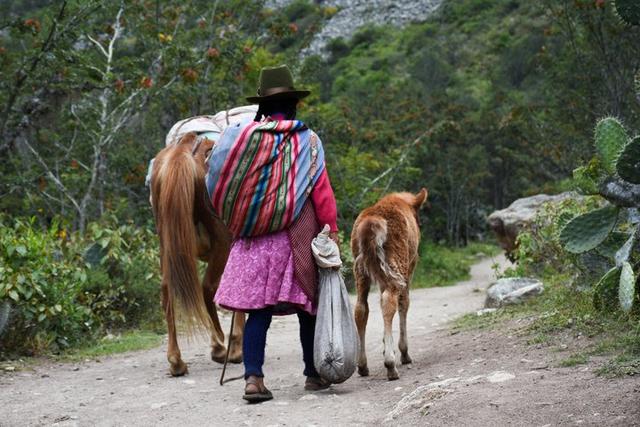 秘魯印加文明朝圣之路,走過四日三夜經典印加古道到馬丘比丘